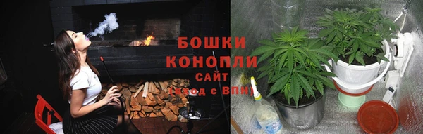 ПСИЛОЦИБИНОВЫЕ ГРИБЫ Киреевск