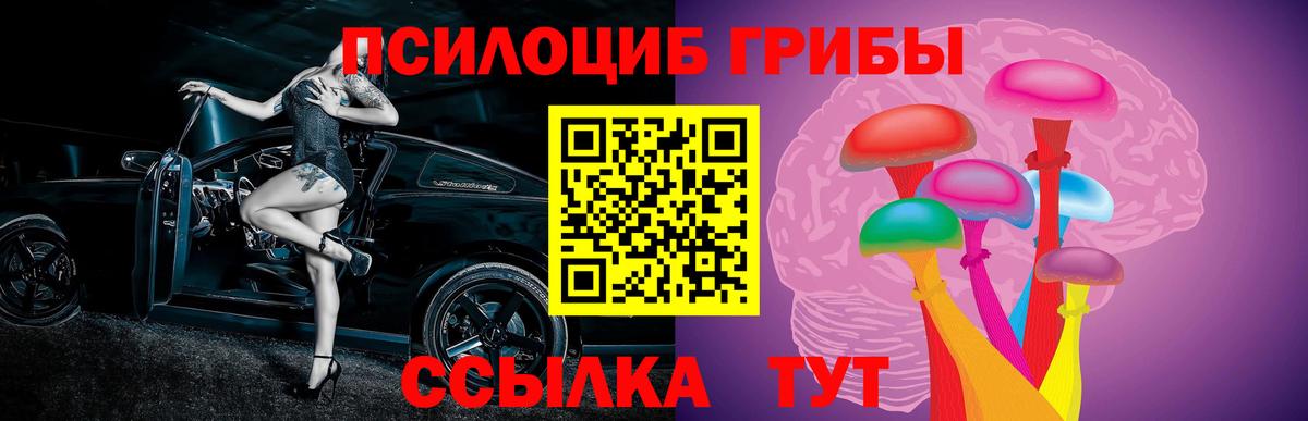Псилоцибиновые грибы мицелий Коммунар